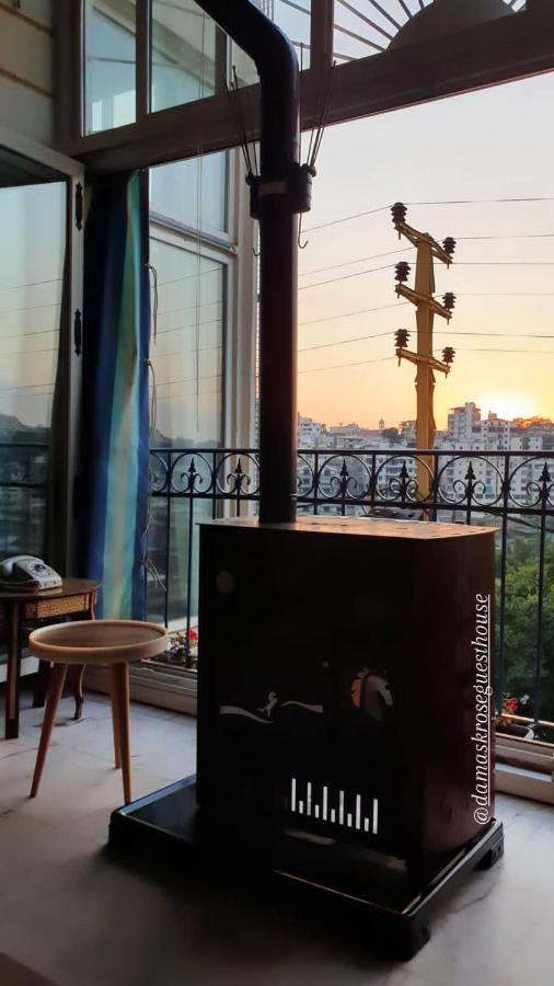 Damask Rose, Lebanese Gasthof Jounieh