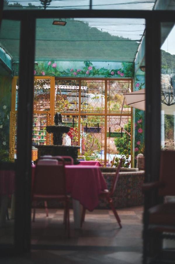 Damask Rose, Lebanese 3* Jounieh